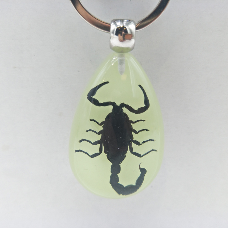 Wholesale Scenic Tourist Souvenirs Real Insect Luminous Resin Key Chain