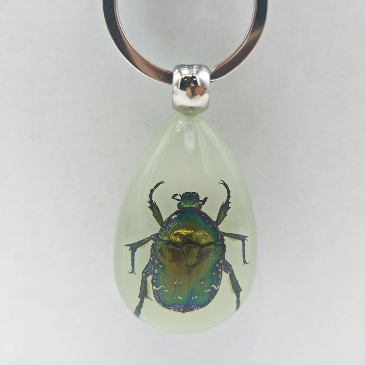 Wholesale Travel Gift Resin Real Insect Scorpion Keychain