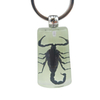 Wholesale Tourist Souvenir Gift Insect Pendant Real Insects in Resin Keychain