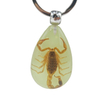 Wholesale Travel Gift Resin Real Insect Scorpion Keychain