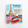 Customized Resin Hand Painted City Scenery France Paris Souvenir Fridge Magnet