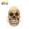 Human Skull Model Figurine Resin Skull Statue for Home Decor