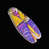 Custom Printing Provence France Souvenir Resin Refrigerator Magnet Cicada Fridge Magnet