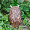 Home Garden Owl Decor Life Size Animal Statue Resin Owl Figurine