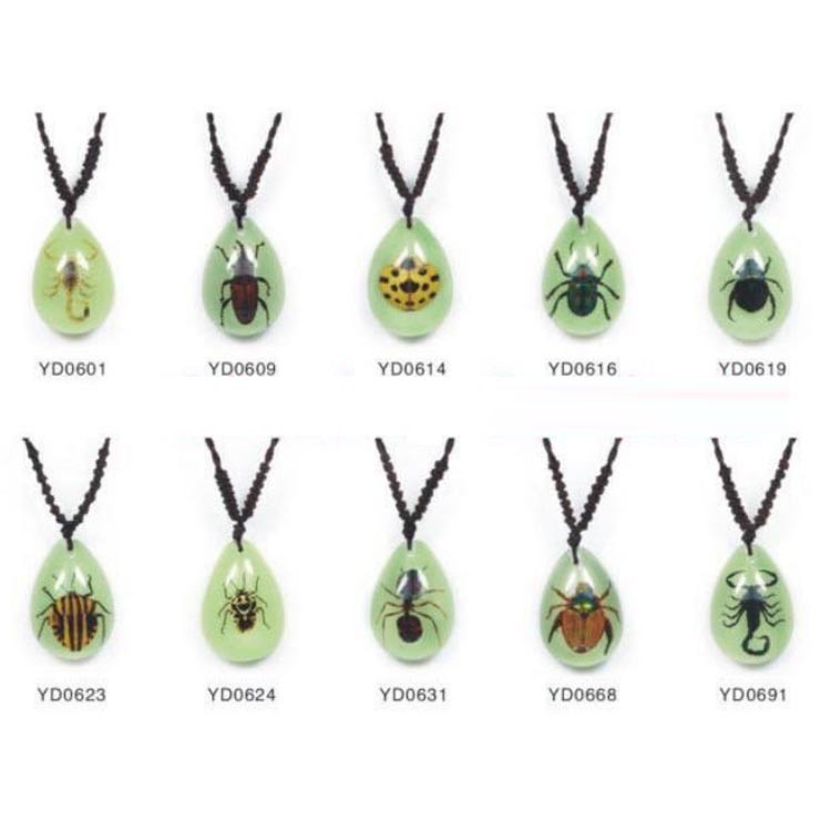 Wholesale Amber Keychain Pendant Gift Real Insect Keychain