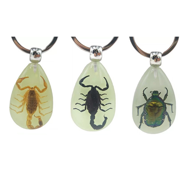 Souvenir Gift Amber Luminous Real Insect Keychain