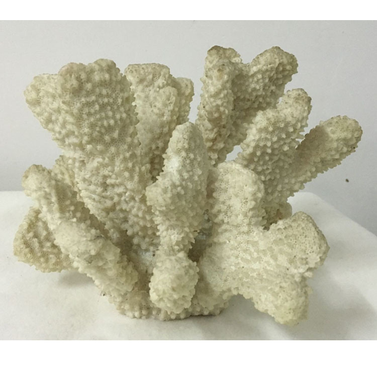 Ocean Style Home Decotation Artificial Resin Coral Decor