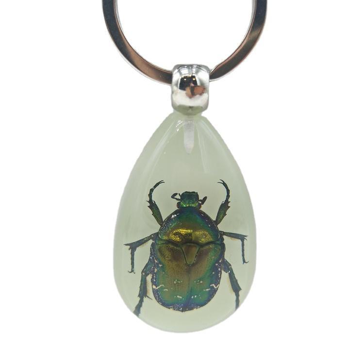 Wholesale Tourist Souvenir Gift Insect Pendant Real Insects in Resin Keychain