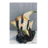 Factory Home Decor Ornament Sea Animal Figurine Resin Tropical Fish Statue