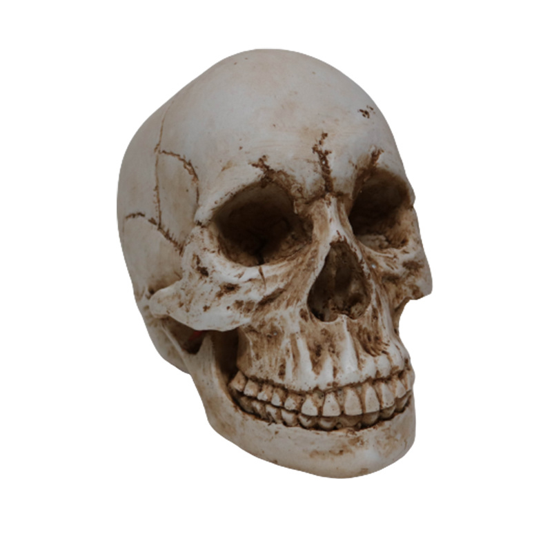 Creative Halloween Skeleton Head Statue Resin Skeleton Figurine Decor