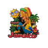 Custom Tourist Metal Powder Hard Jamaica Souvenir Fridge Magnet