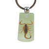 Wholesale Tourist Souvenir Gift Insect Pendant Real Insects in Resin Keychain