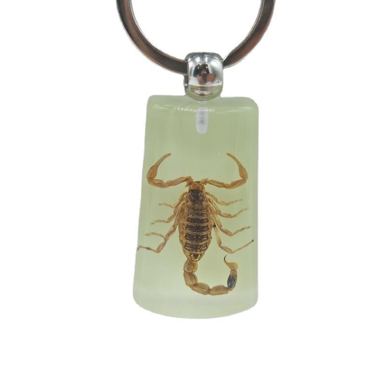 Wholesale Tourist Souvenir Gift Insect Pendant Real Insects in Resin Keychain