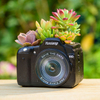 Wholesale Retro Creative Camera Shape Succulent Pot Resin Flower Pot for Home Office Hotel Decor