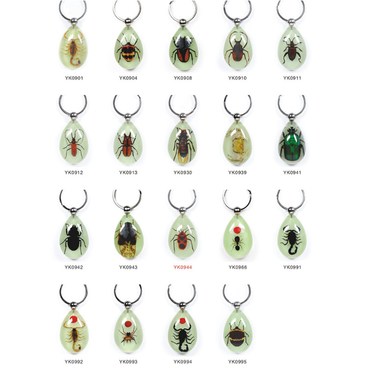 Wholesale Travel Gift Resin Real Insect Scorpion Keychain