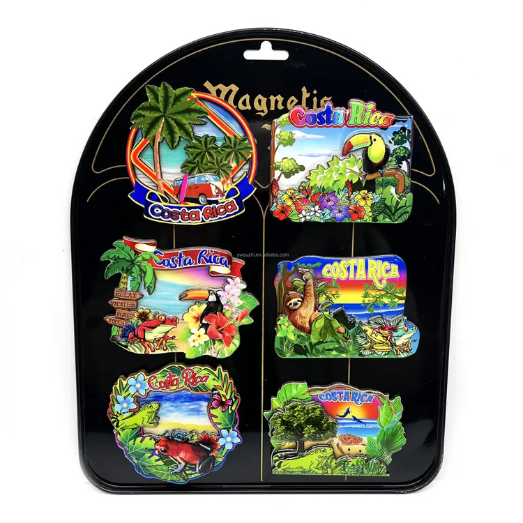 Wholesale Epoxy MDF Turtle Magnet Bahamas Beach Providence Island Souvenir Fridge Magnet