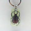 Wholesale Scenic Tourist Souvenirs Real Insect Luminous Resin Key Chain