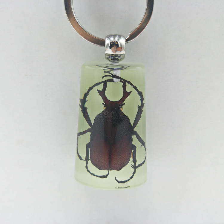 Wholesale Scenic Tourist Souvenirs Real Insect Luminous Resin Key Chain