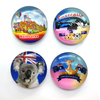 Custom Resin Printed Tourist New Zealand Souvenir Fridge Magnet