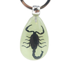 Wholesale Tourist Souvenir Gift Insect Pendant Real Insects in Resin Keychain