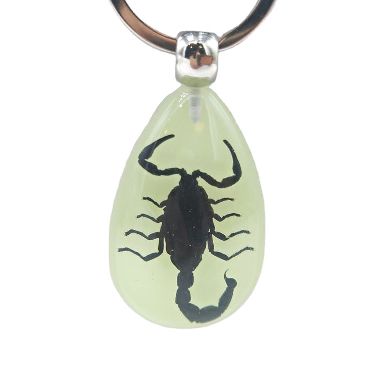 Wholesale Tourist Souvenir Gift Insect Pendant Real Insects in Resin Keychain