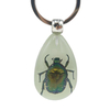 Wholesale Travel Gift Resin Real Insect Scorpion Keychain