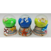 Wholesale Beach Shell Resin Sand Bottle Souvenir Sand Globe