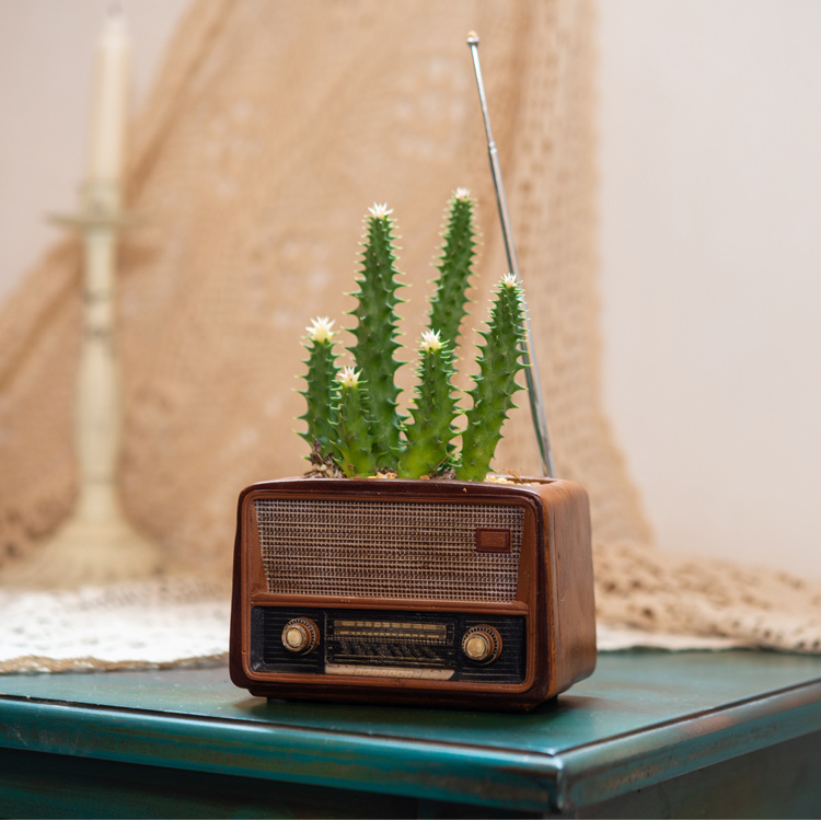 Creative Retro Radio Shape Resin Succulent Flower Pot Antique Craft