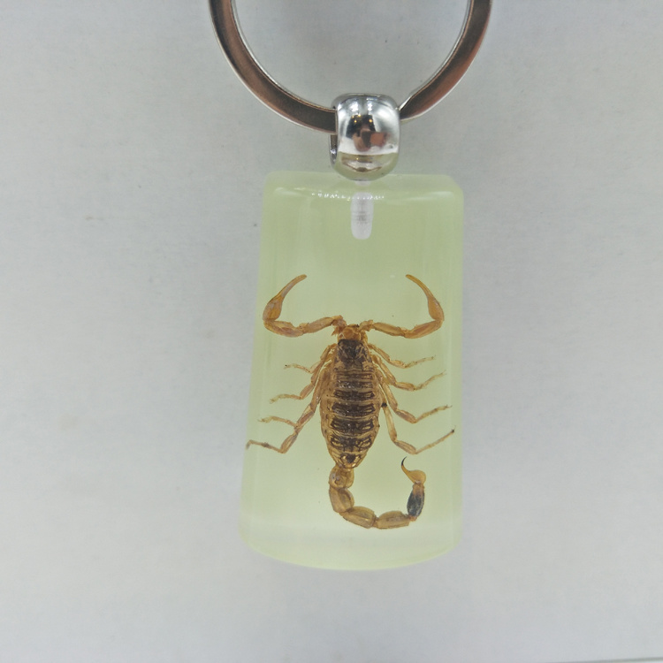 Ocean Series Beach Souvenir Resin Shell Insect Keychain