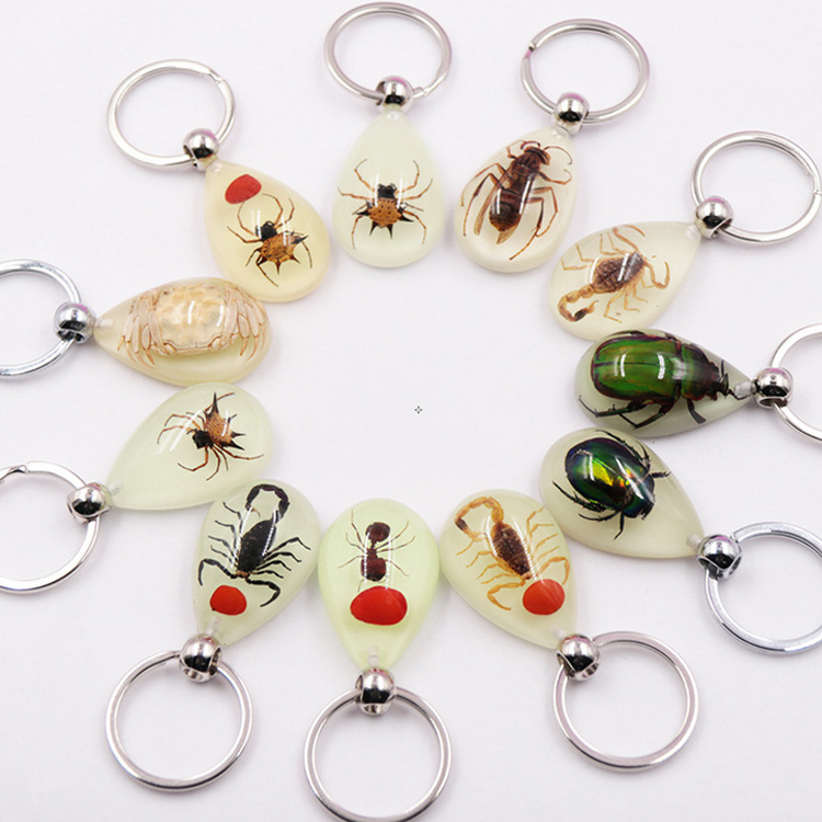 Ocean Series Beach Souvenir Resin Shell Insect Keychain