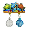 Turtle Epoxy Wood Fridge Magnet Belize Souvenir Magnet