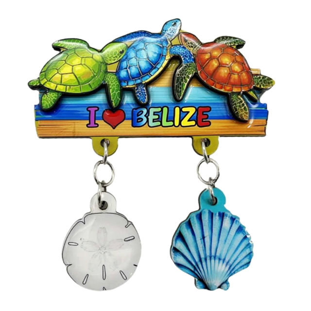 Turtle Epoxy Wood Fridge Magnet Belize Souvenir Magnet
