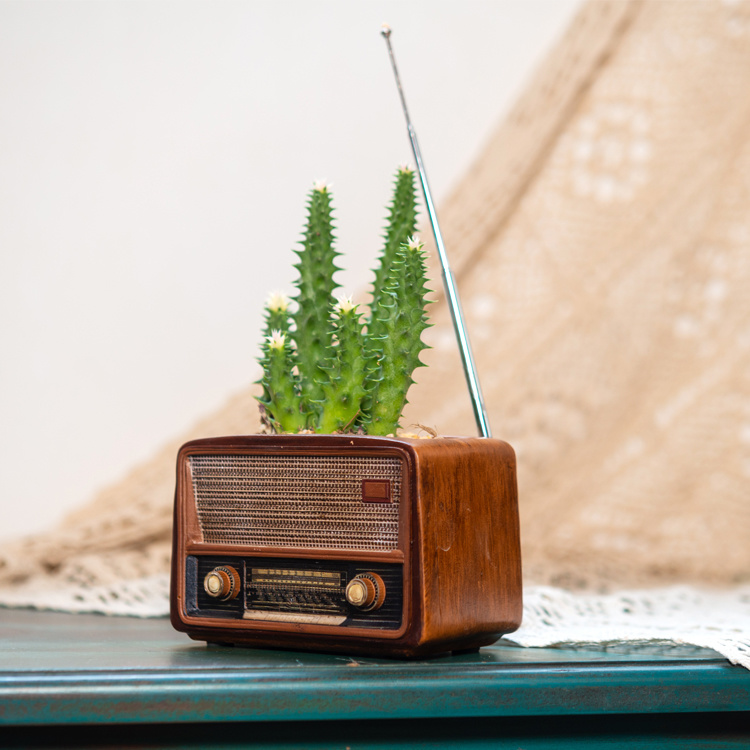 Creative Retro Radio Shape Resin Succulent Flower Pot Antique Craft