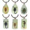 Souvenir Gift Amber Luminous Real Insect Keychain