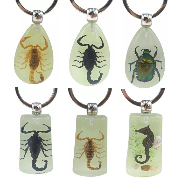 Souvenir Gift Amber Luminous Real Insect Keychain