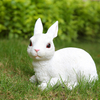 Outdoor Lawn Garden Courtyard Decoration Cute Animal Crafts Resin Rabbit Statue