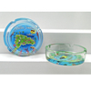 Custom Round Shape Beach Clear Glass Ashtray for Souvenir Gift