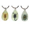 Souvenir Gift Amber Luminous Real Insect Keychain