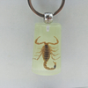 Ocean Series Beach Souvenir Resin Shell Insect Keychain