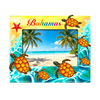 Custom Design Epoxy MDF Wood Turtle Nassau Bahamas Picture Frame Souvenir Bahamas Photo Frame