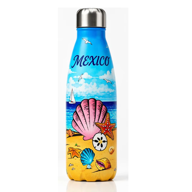 Custom Printing Nautical Seaside Seagull Souvenir Mug Stainless Steel Nice Biarritz Brittany Marseille Souvenir Water Bottle